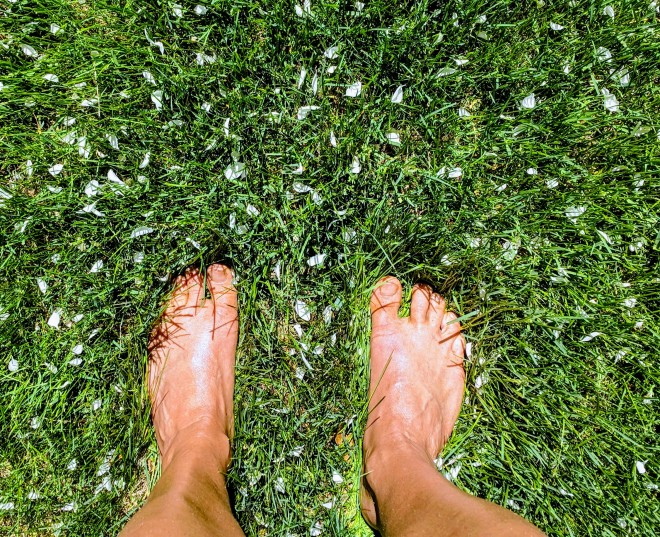 bare feet in the grass